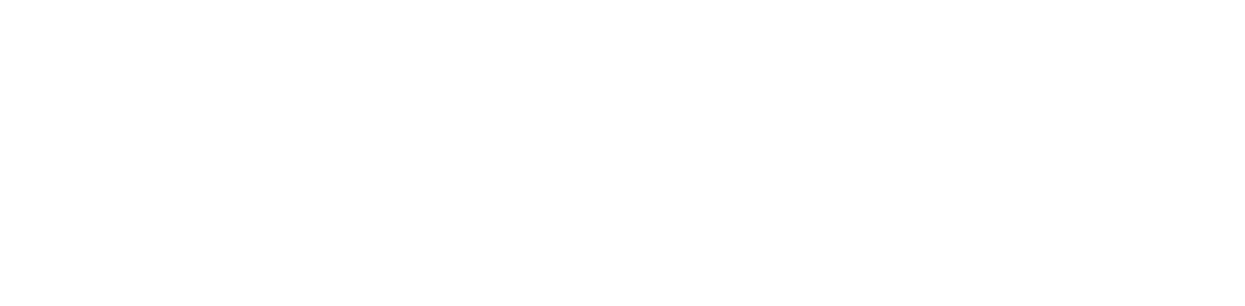 Montero Express Cargo